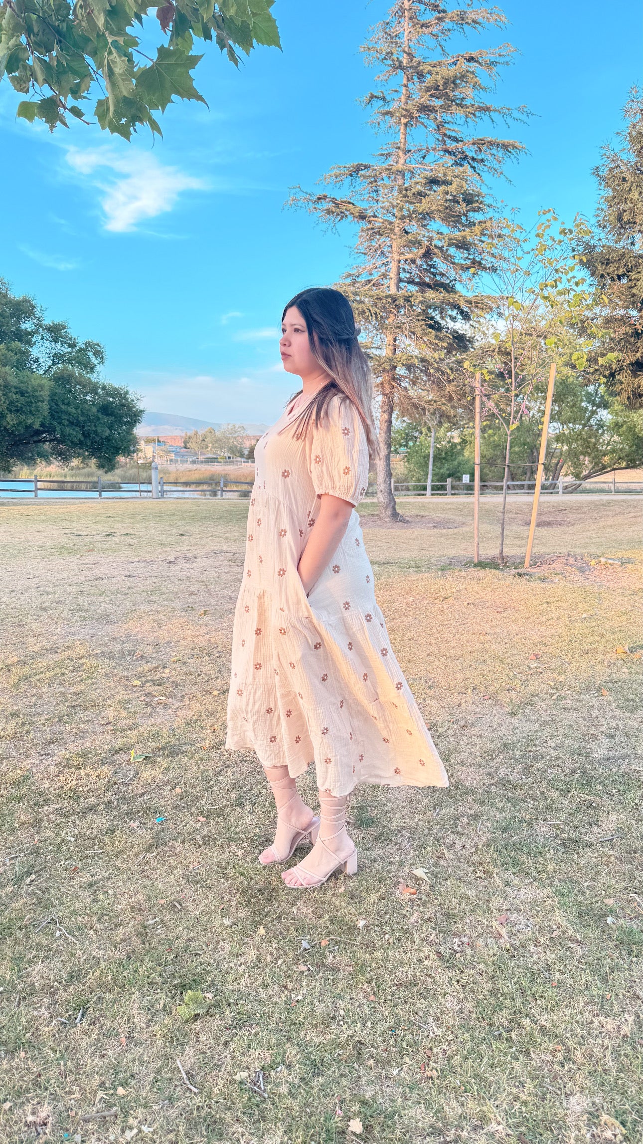 Ariana dress